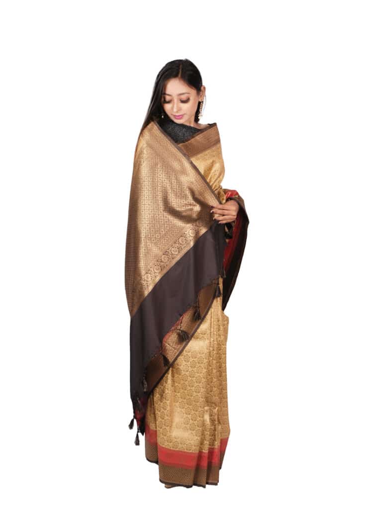 Cream Black Motifs Zari Banarsee Party Wear Organza Saree - Anchal Pose