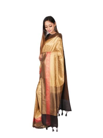 Cream Black Motifs Zari Banarsee Party Wear Organza Saree - Side Pose