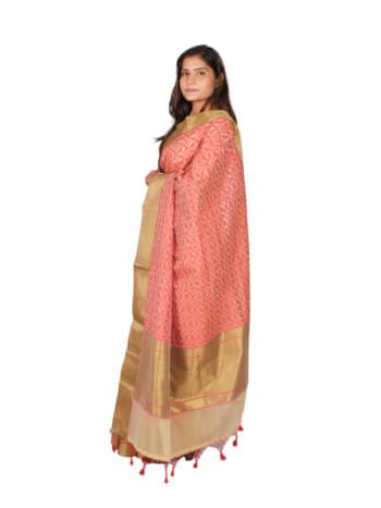 Cream Red Woven Design Banarsee Party Wear Organza Saree - Side Pose