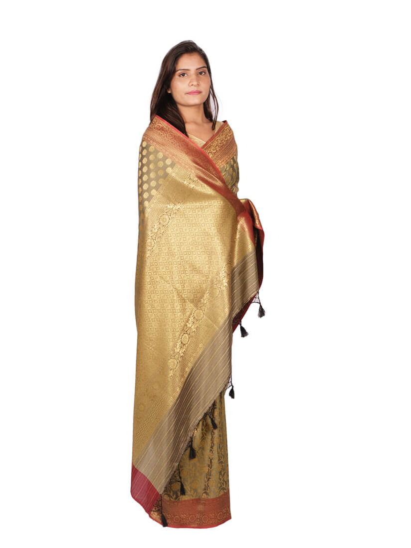 Tussar Golden Motifs Zari Banarsee Party Wear Semi Silk Saree - Anchal Pose