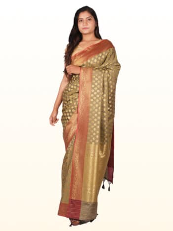 Tussar Golden Motifs Zari Banarsee Party Wear Semi Silk Saree - Front Pose Edited