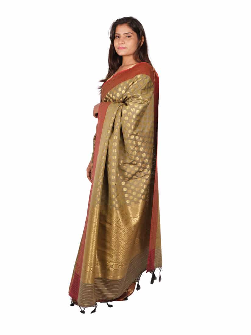 Tussar Golden Motifs Zari Banarsee Party Wear Semi Silk Saree - Side Pose