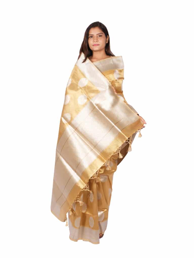 Yellow Silver Motifs Zari Banarsee Party Wear Tissue Saree - Anchal Pose