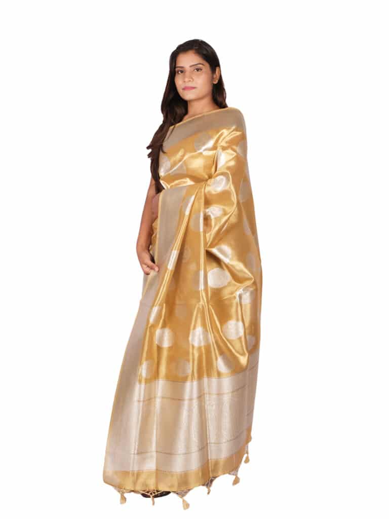 Yellow Silver Motifs Zari Banarsee Party Wear Tissue Saree - Side Pose